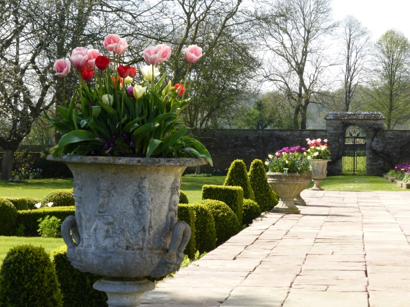 Charlton Down House